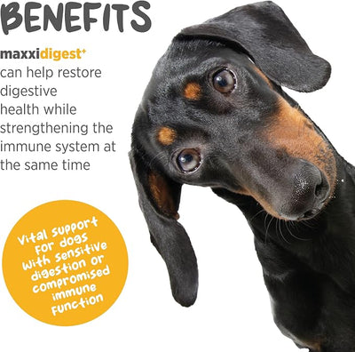 maxxipaws maxxidigest+ Prebiotic & Probiotic for Dogs 13.2oz | Dog Probiotic Powder with Advanced Digestive Enzymes for Gut Health & Immunity | Supports Digestion, Food Sensitivities & Itchy Skin