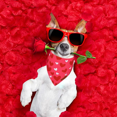 ADOGGYGO Valentine Dog Bandana, Heart and Love Pet Scarf, Premium Durable Fabric, Red Pink Valentine Bandanas for Medium Large Dogs (Large)