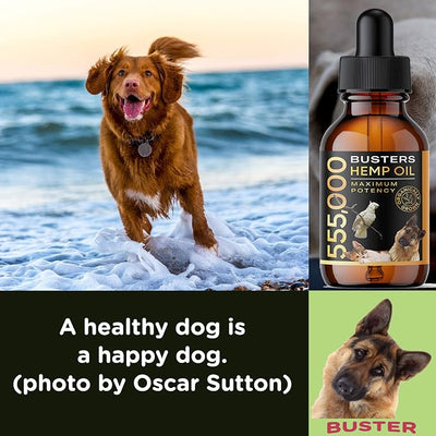 Buster's Organic Hemp Oil 530,000 4Pack-4month Supply for Dogs & Cats Made in USA - Omega Rich 3, 6 & 9 - Hip & Joint Health, Natural Relief, Calming Drops