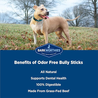 Barkworthies Odor-Free 6 Inch Bully Sticks - 5 Count (Pack of 1) - Protein-Packed, Easily Digestible, All-Natural Rawhide Alternative, Promotes Dental Health