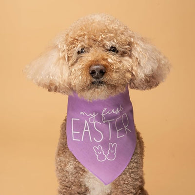 My First Easter Dog Bandana | 100% Cotton Adjustable Triangle | Made in USA | Easter Bunny | Egg Hunt| Funny Outfit Prop Photoshoot |Hot Pink, One Size (392)