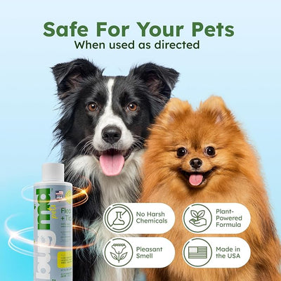 BugMD Flea and Tick Concentrate (3.7 oz) - Essential Oil-Powered Formula, Controls Fleas, Ticks, Mites in Dogs and Other Furred Animals, Spray on Pet Beds, Kennels