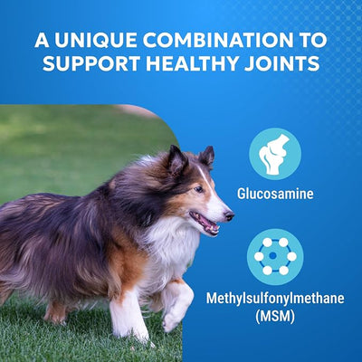 Nutramax Cosequin Elements Dogs Joint Health Supplement, Contains Glucosamine for Dogs, MSM, Supports Healthy Joints, for All Breeds and Sizes, Chewable Tablets, 75 Count (Pack of 2)