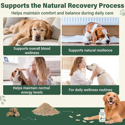 Yunnan Sanqi Herbal Capsules for Dogs – Daily Circulation & Vitality Support, 120 Capsules