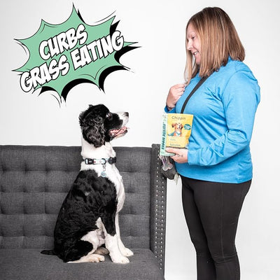Chippin Healthy Dog Treats, All Natural Crunchy Biscuits with Real Spirulina, Kale, Oats, No Meat, Hypoallergenic, Vegan Treats for Puppy, Small, Large Dogs