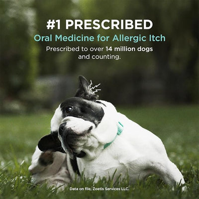 Apoquel (oclacitinib Tablet) for Dogs, 5.4 mg, 15 Tablets