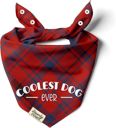 Funny Snap-On Dog Bandana for Small Medium Large Pets, Dogs Cats Adjustable Handkerchief Scarf for Girl & Boy, Cute Puppy Apparel & Accessories (Coolest Dog Ever, Large)