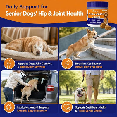 Senior Dog Hip & Joint Supplement Chews, 12-in-1 Advanced Mobility Support with UC-II Collagen, Glucosamine, Chondroitin & ASU, Chicken Salmon Soft Chews for Small Medium Large Dog, 60 Count