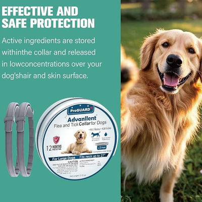 Flea Collar for Dogs, Flea and Tick Prevention for Dogs Collar, Dog Flea and Tick Treatment, 2 Collars, 12 Months Prevention, One Size Fits All