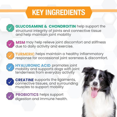 Progility Hip & Joint Supplement for Dogs – Daily Joint Support with Glucosamine, MSM, Chondroitin & Hyaluronic Acid, Soft Chews Value Pack (250 Count)