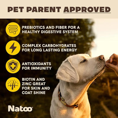 NATOO Dog Treats for Large Breed, Oats Banana and Honey, 8oz | Crunchy Biscuits, Rich in Omega 6, Prebiotics and Fiber, Antioxidants for Immunity, Natural