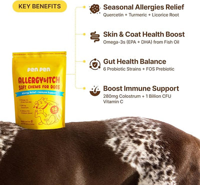 PENPEN Dog Allergy Relief Chews, Dog Itching Skin Relief, Omega 3 for Dogs Itch Supplement, Relieve Seasonal Allergy, Provide Immune Support (Peanut Butter Chews, 50ct)