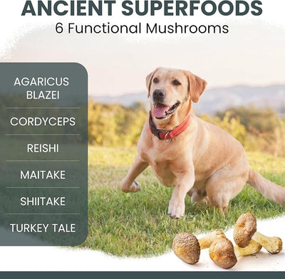 Mushroom Supplement for Dogs with Organic Turkey Tail, Shiitake, Reishi, Colostrum, and Fish Oil - Immune Support Mushroom Complex, 90 Soft Chews - Made in the USA