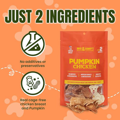 Gourmet Chicken Jerky Dog Treats Made in The USA. Cage-Free, No additives (Pumpkin Chicken 5 0z)