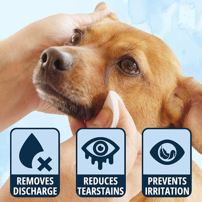 NOVEHA Cat & Dog Eye Wipes Tear Stain Remover For Discharge and Crust | White Pet Face Wipes | Easy Daily Pets Gentle Eye Cleaner for Whitening & Cleansing | 2PK - 150 Large Pk Round Wipes