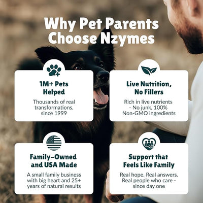 Nzymes® Antioxidant Treats - for Dogs Joints, HIPS, Paralysis, Skin, Coat, Hair Loss, Aging, Digestion, Neurological, Seizures - 120 Treats - Made in The USA