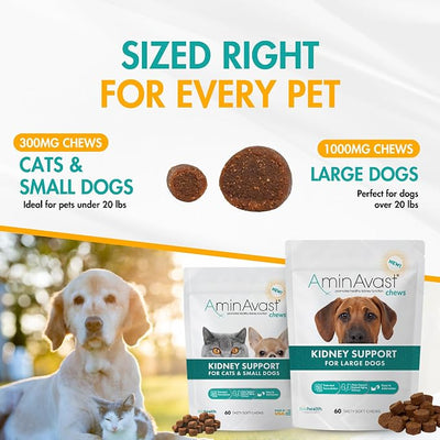 AminAvast Dog Kidney Supplement - Supports Natural Kidney Function - Promotes Health & Vitality of Aging Kidneys - Pet-Friendly, 1000mg (60 Chews)