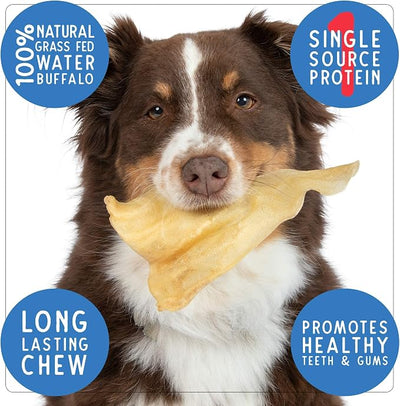 Pet Craft Supply 16 Pack Grass Fed Water Buffalo Ear, All Natural, Single Ingredient, Pig Ears for Dogs Alternative Long Lasting Dog Chew Treat for Aggressive Chewers, Small to Large Dogs