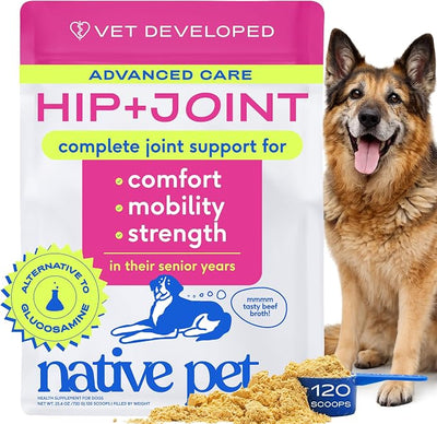 Native Pet Hip & Joint Advanced Care Dog Joint Supplement Powder for Mobility & Movement Support, Joint Supplement for Dogs with HMB, UC-II Collagen, Green Lipped Mussel & Hyaluronic Acid – 120 Scoops