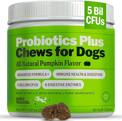 Deley Naturals Probiotics Plus Chews for Dogs - Gut Health Supplement with 5 Billion CFU's & Digestive Enzymes - Prebiotics for Dog Allergies, Diarrhea & Yeast - 90 Count Pumpkin Flavor Made in USA