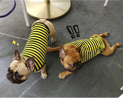 iChoue French Bulldog 100% Breathable Cotton Striped T Shirts Halloween Vest Clothes for Small Dogs Tank Tops Puppy Frenchie Pug English Boston Terrier Pitbull Yellow Black Stripes - Medium
