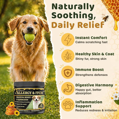 Manuka Honey for Dogs - Allergy & Itch Relief Chews - Skin Comfort & Coat Health - with Quercetin,Krill Oil,Colostrum &Probiotics - Stop Paw Licking, Soothe Itchy Ears & Yeast Balance - 150 Soft Chews