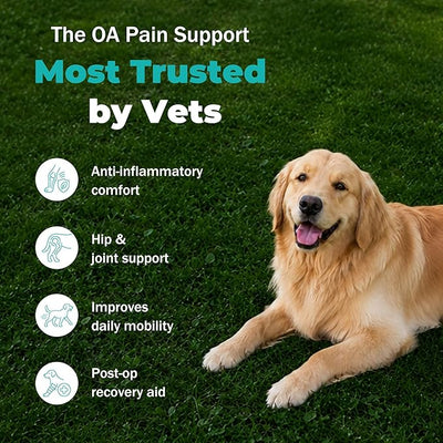 Dog Pain Relief - Joint Support & Mobility for Senior Dogs - Powerful Relief for Medium & Large Dogs - 60 Tablets