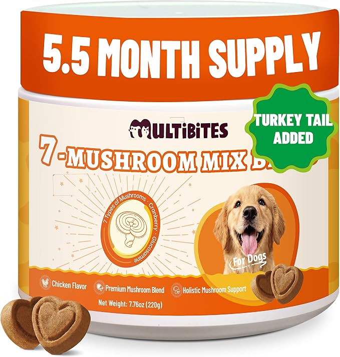 Mushroom Supplement for Dogs - Supports Antioxidant & Immune Defense, Gut, Skin, Joint & Urinary Tract Health, 7-Mushroom Complex (Turkey Tail, Lion's Mane, Reishi & 4 Others) – 330 Chews