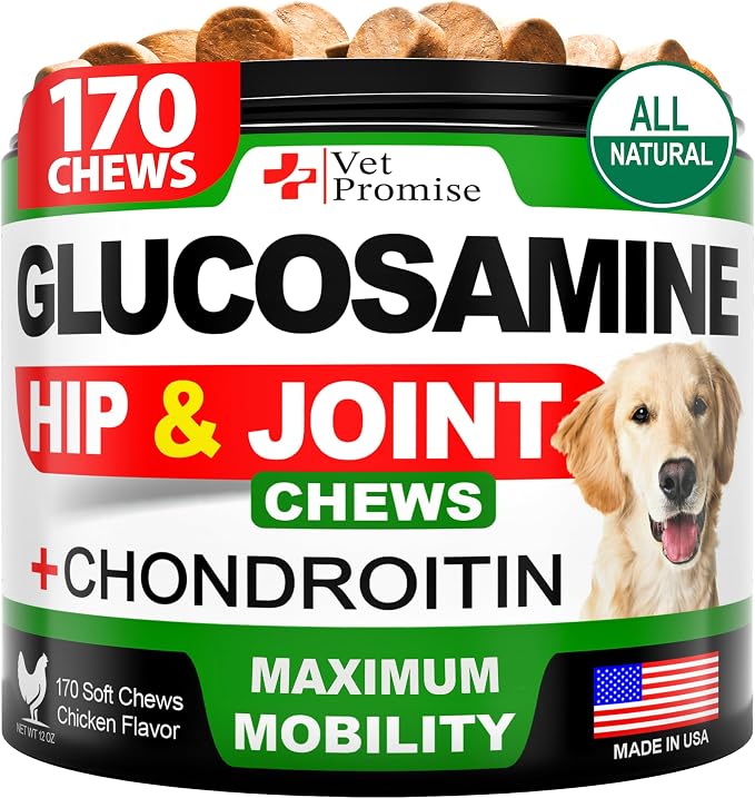 Glucosamine for Dogs - Hip and Joint Supplement for Dogs - Glucosamine Chondroitin - Joint Pain Relief Pills - MSM - Advanced Health Support Supplement - 170 Mobility Chews - Made in USA