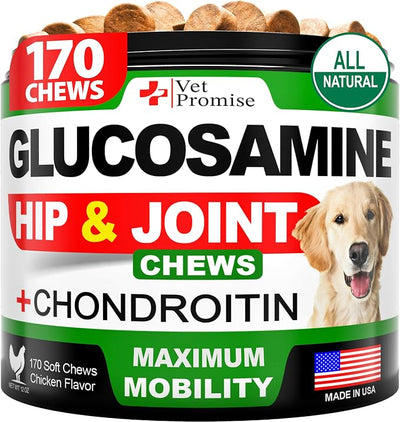 Glucosamine for Dogs - Hip and Joint Supplement for Dogs - Glucosamine Chondroitin - Joint Pain Relief Pills - MSM - Advanced Health Support Supplement - 170 Mobility Chews - Made in USA