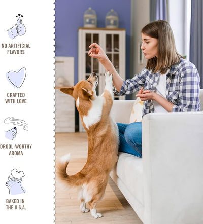 Three Dog Bakery Blueberry Pancake Bites,Treats with Real Blueberries & Vanilla,Mess-Free Snacks & Training Cookies for Dogs-& Puppies,Human-Inspired,(Pack of 2)