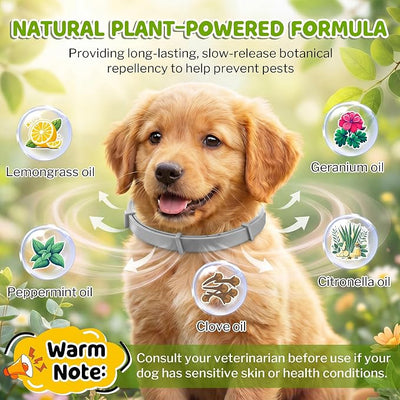 Flea and Tick Collar for Dogs, Dog Collars with Natural Essential Oils Waterproof Adjustable Size for Small Medium and Large Dog Flea Prevention and Tick Control for Pets (4 Pieces,Gray, Black)