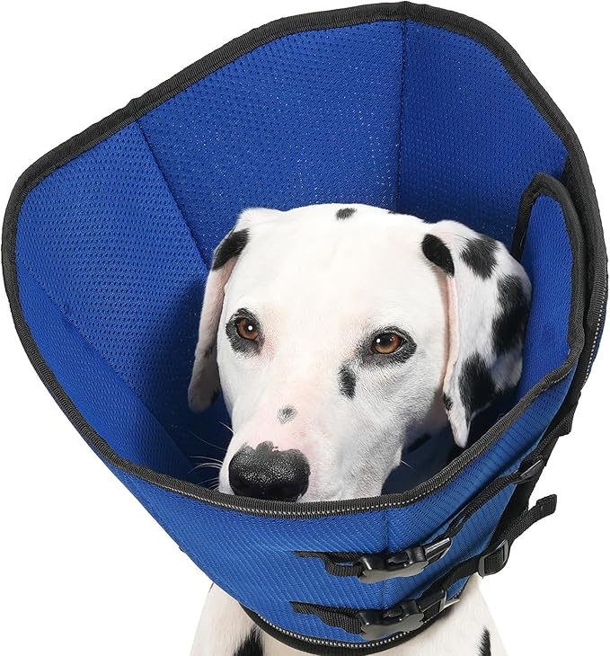Avont 2026 Upgraded Dog Recovery Collar, Breathable Mesh Elizabethan Collar – Soft Dog Cone Alternative After Surgery to Stop Licking, Foldable/Adjustable/Secure-Fit for Medium Large Dogs, Blue (S