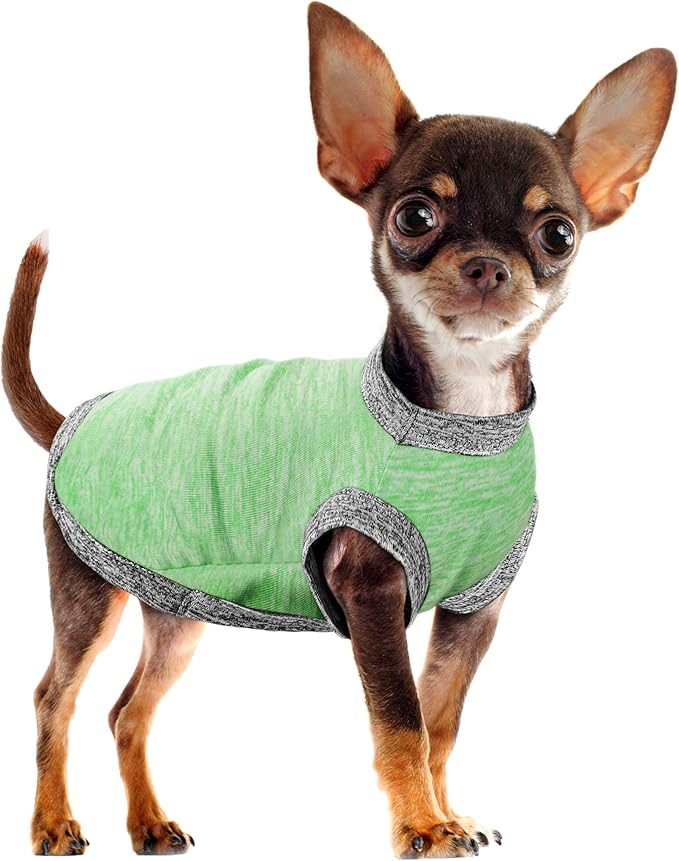 Chic Ion Polyester Dog Vest: Adorable Fashion Apparel for Small, Medium, and Large Breeds - Moisture-Wicking, Soft, Anti-Static, Durable, Easy-to-Clean Shirt - Green 2XL