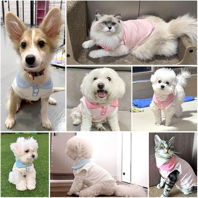 2 Pack Dog Tshirts for Small Dogs Polo Shirt Stretchy Dog T Shirt Breathable Dogs Cooling Vest Girl Boy Puppy Dachshund French Bulldog Frenchie Chihuahua Clothes (Pink & White,)
