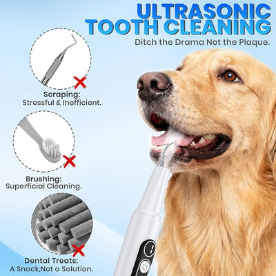 Dog Plaque Remover with UV Sanitizing Chamber,6 Modes,Waterproof | Built-in UV Sanitizing Storage Chamber,Stores & Sanitizes Metal Tips After Use,6 Cleaning Modes for Different Needs