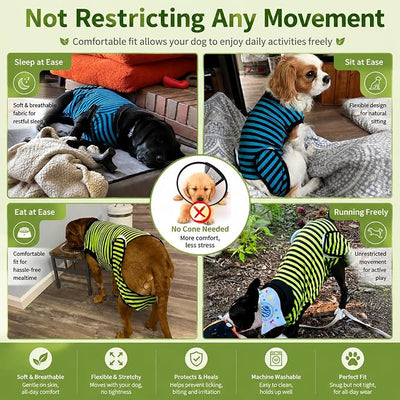 2 Packs Breathable Cotton Dog Recovery Suit for After Neuter Spay Abdominal Wounds Protector, Professional Anti-Licking Onesies for Male Female Pets Surgery Bandages, XL Blue & Green Stripes