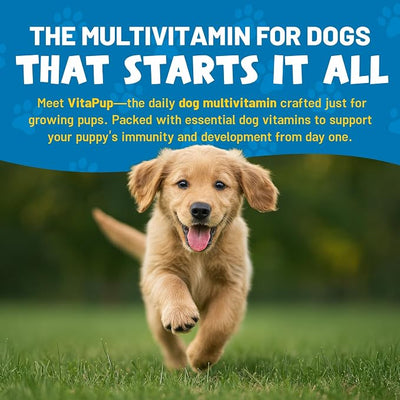 Guardian’s Choice Puppy Vitamins & Supplements, Multivitamin Chews, 90 Ct | Give Your Puppy the Best Start. Daily support for healthy growth, development, and overall wellness.*