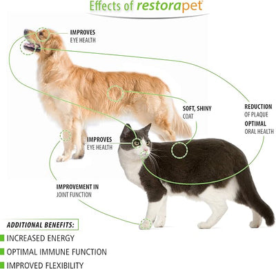RestoraPet 1-Pack Dog & Cat Beef Liquid Multivitamin | Dog Arthritis Pain Relief | Hip & Joint Vitamins for Dogs - Anti Inflammatory Supplement for Dogs & Cats | Natural & Non-GMO, Vet Approved
