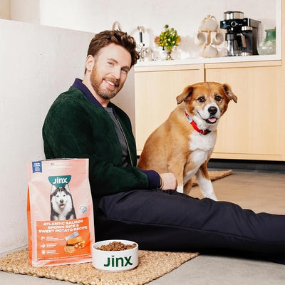 Jinx Chicken & Bacon Layers Jerky Dog Treats - Crunchy, All Natural Dog Jerky Treats with Cage-Free Chicken & Bacon - Pet Products for All Dogs (Puppies, Adults & Seniors) - 15oz (Pack of 2)