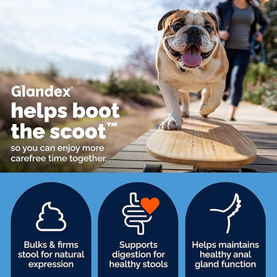 Vetnique Glandex Anal Gland Soft Chew Treats with Pumpkin for Dogs Digestive Enzymes, Probiotics Fiber Supplement for Dogs Boot The Scoot (Advanced Strength Duck/Bacon, 60 Ct)
