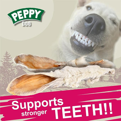 Rabbit Ears with Fur Dog Treats (10 pcs)| All-Natural, Hypoallergenic, Dehydrated Chews | Supports Dental Hygiene & Digestion | Ideal for Small, Medium & Large Dogs