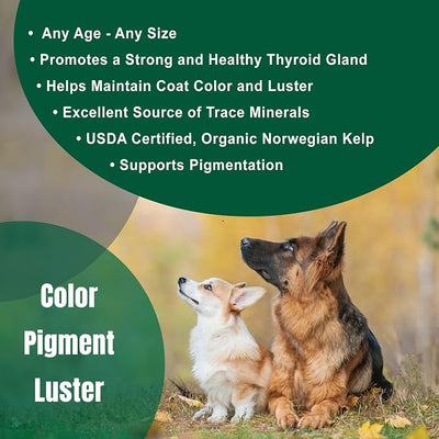 Dogzymes Organic Norwegian Kelp for Pets, a Valuable Nutrition Source Rich in Iodine to Support Gland Function, Especially The Thyroid (6 Pound)