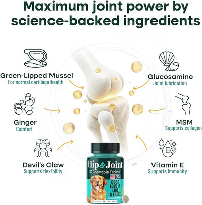 Hip & Joint Supplement for Dogs, 300mg Green-Lipped Mussel for Dog Arthritis Pain Relief, Glucosamine, MSM & Chondroitin, Zero Sugar, Large Medium Small Breeds, 100 Chewable Tablets