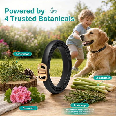 Flea and Tick Collar for Dogs 6 Pack, Natural Flea & Tick Prevention with Essential Oils, Waterproof Adjustable Dog Collar for Small Medium Large Dogs, Black & Gold