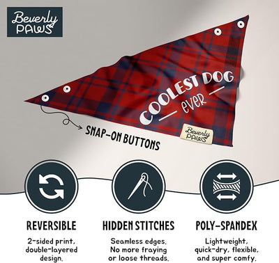 Funny Snap-On Dog Bandana for Small Medium Large Pets, Dogs Cats Adjustable Handkerchief Scarf for Girl & Boy, Cute Puppy Apparel & Accessories (Coolest Dog Ever, Large)