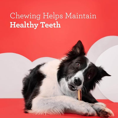 DreamBone Chicken Wrapped Mini Stick Dog Treats, Daily Rawhide-Free Chew, Digests Safely and Completely, With Real Protein, Chicken and Veggies, 15 count