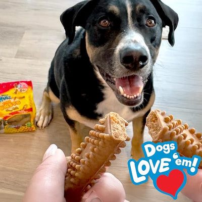 Nylabone Nubz Flavor Bursts Natural Dog Chew Treats for Small Dogs, Long Lasting Chew Bones Made in the USA, Grain-Free Dog Treats, Bacon & Cheese Flavor, for Dogs Over 30 lbs. (7 Count)