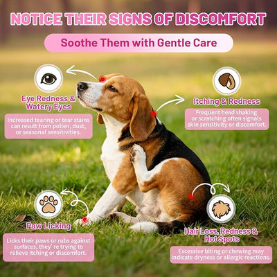 Wagmee Allergy Relief Drops for Dogs, Dog Itchy Skin Relief & Natural Yeast Treatment with Omega-3, Turmeric for Dogs Anti Itchy Ears Paw Relief - Dog Seasonal Allergies, Skin & Coat Immune Support