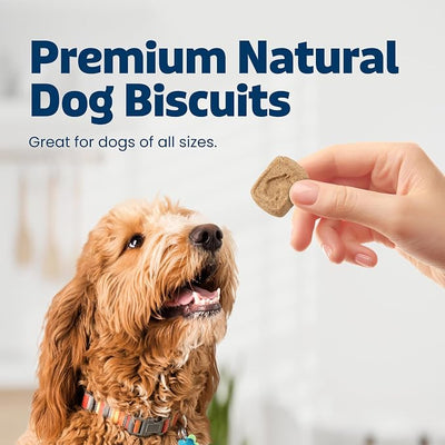 Blue Buffalo Health Bars Dog Biscuits Variety Pack (Bacon Egg Cheese, Apples & Yogurt, Pumpkin & Cinnamon) Healthy Dog Treats with No Artificial Flavors or Preservatives, 16 oz. Each (3 Bags)